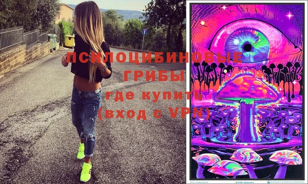 шишки Абаза